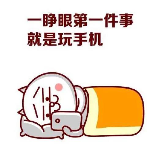 听说，可以查期末成绩了？